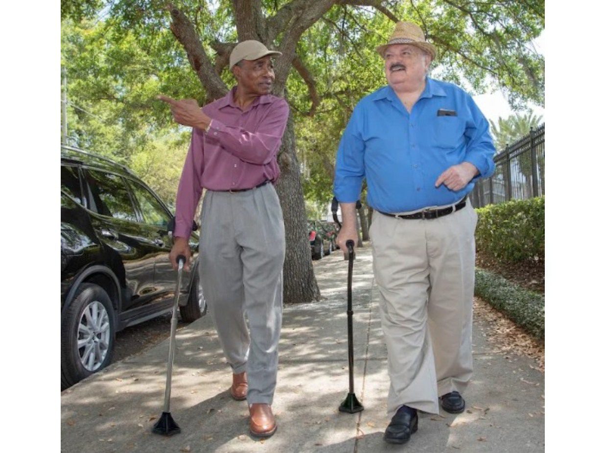 Two elderly men walking outdoors, each with a cane, under leafy trees.